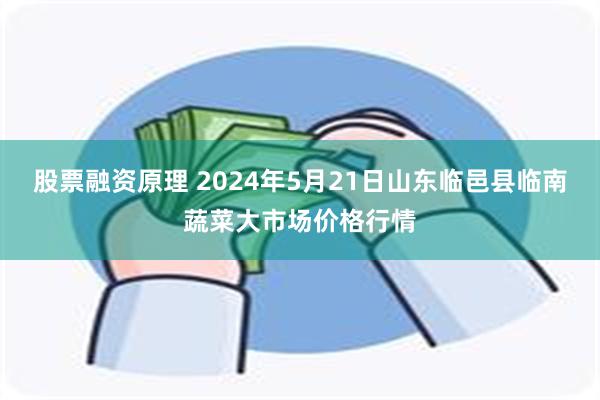 股票融资原理 2024年5月21日山东临邑县临南蔬菜大市场价格行情