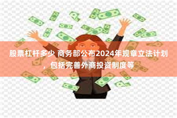 股票杠杆多少 商务部公布2024年规章立法计划，包括完善外商投资制度等