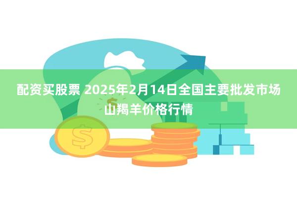 配资买股票 2025年2月14日全国主要批发市场山羯羊价格行情