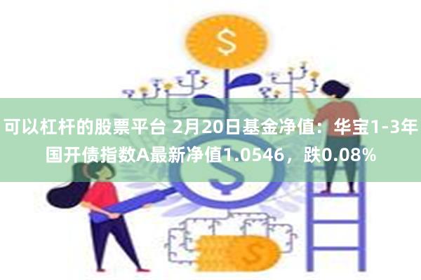 可以杠杆的股票平台 2月20日基金净值：华宝1-3年国开债指数A最新净值1.0546，跌0.08%