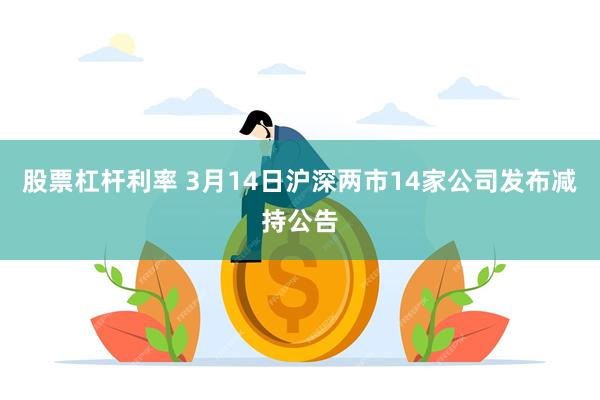 股票杠杆利率 3月14日沪深两市14家公司发布减持公告